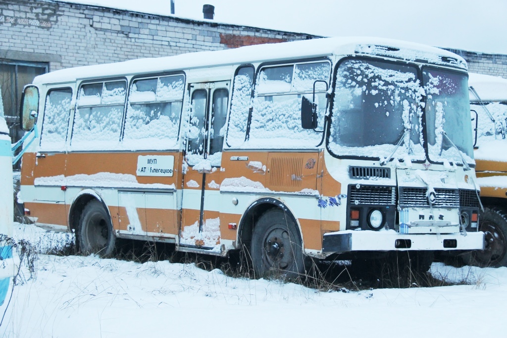 Архангельська область, ПАЗ-3205-110 № АА 794 29