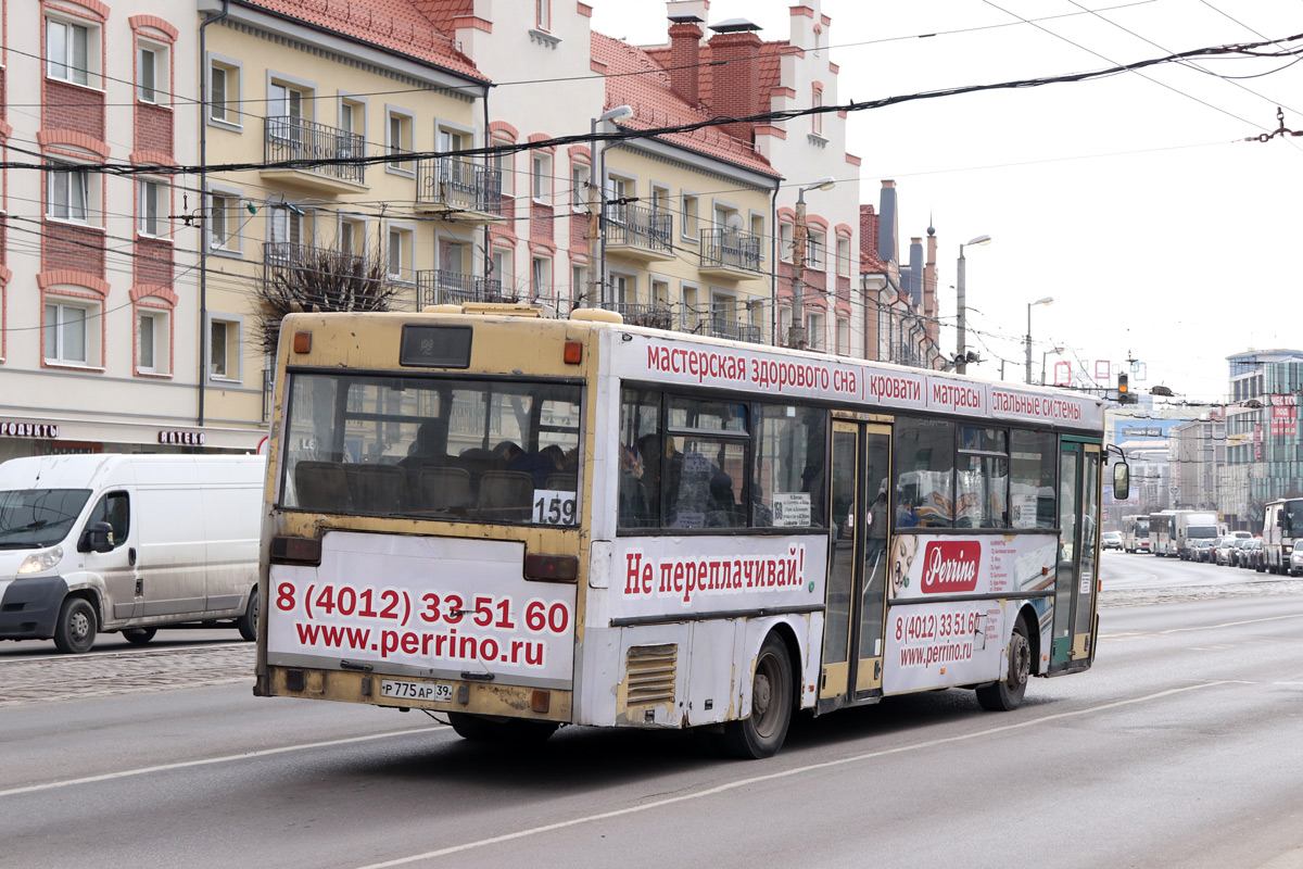 Калининградская область, Mercedes-Benz O405 № Р 775 АР 39