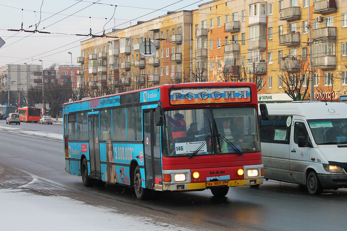 Калининградская область, MAN A12 EL202 № АК 981 39