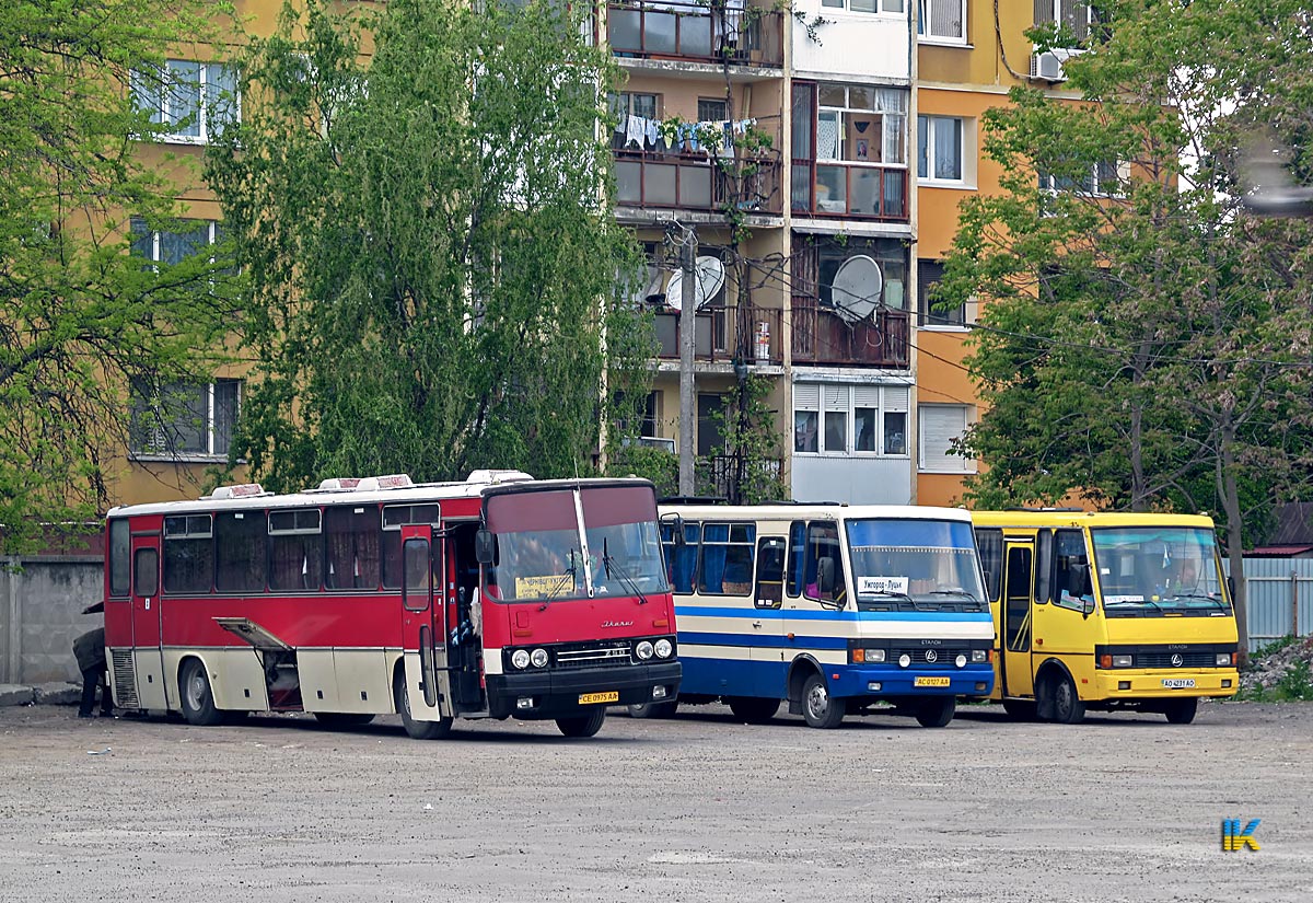 Черновицкая область, Ikarus 250.59 № CE 0975 AA; Закарпатская область — Разные фотографии