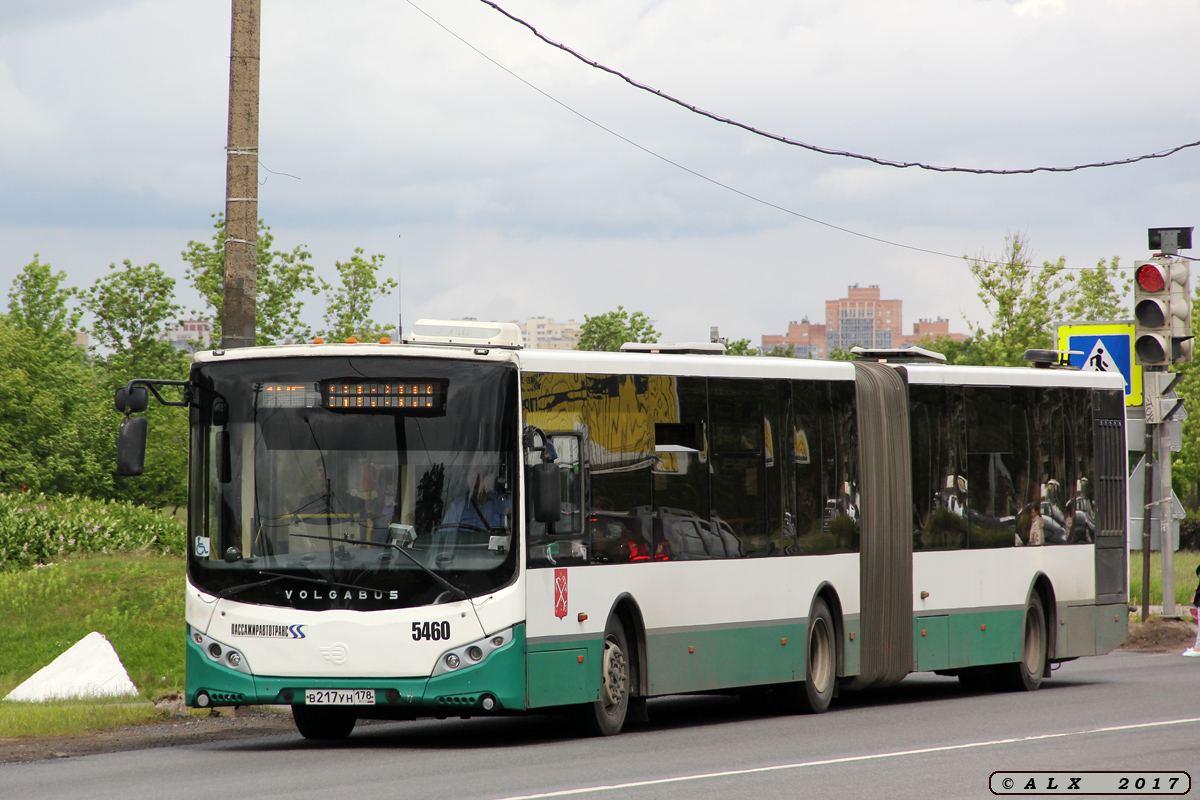 Санкт-Петербург, Volgabus-6271.00 № 5460