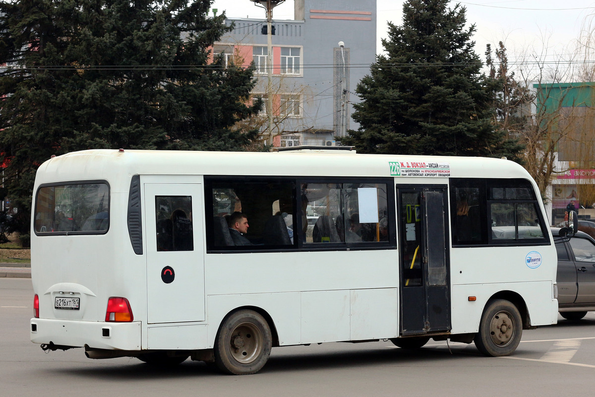 Ростовская область, Hyundai County LWB C11 (ТагАЗ) № Е 216 ХТ 161