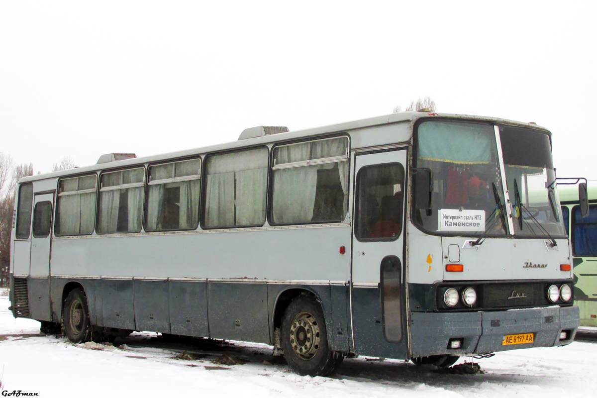 Днепропетровская область, Ikarus 250.59 № AE 8197 AA