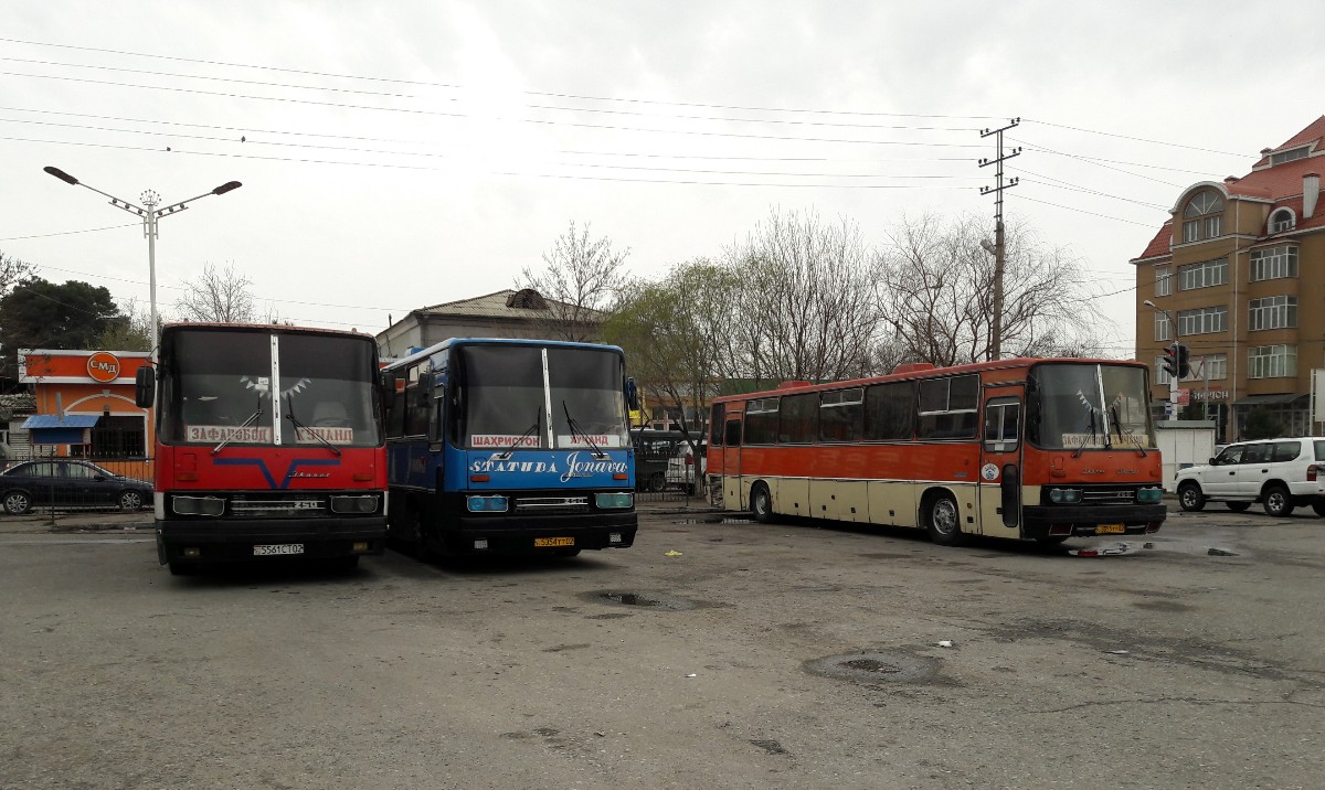 Таджикистан, Ikarus 250.59 № 5561 СТ 02; Таджикистан, Ikarus 250.59 № 3055  ТТ 02 — Фото — Автобусный транспорт