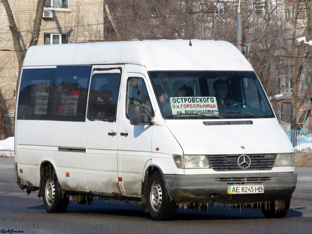 Днепропетровская область, Mercedes-Benz Sprinter W903 312D № AE 8245 HB