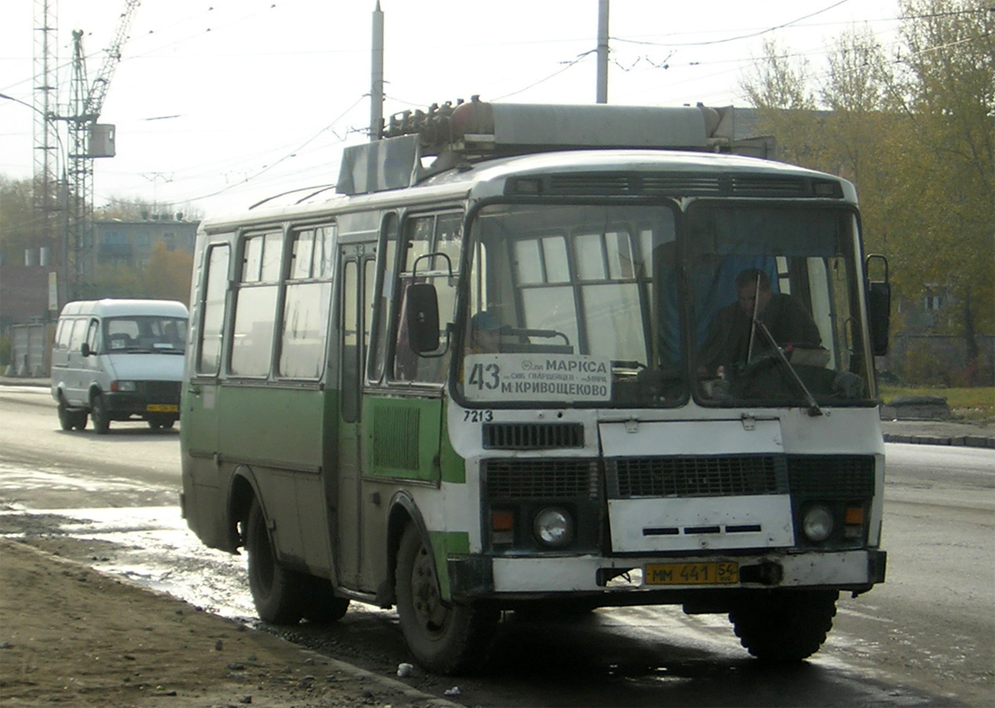 Новосибирская область, ПАЗ-3205-110 № 7213