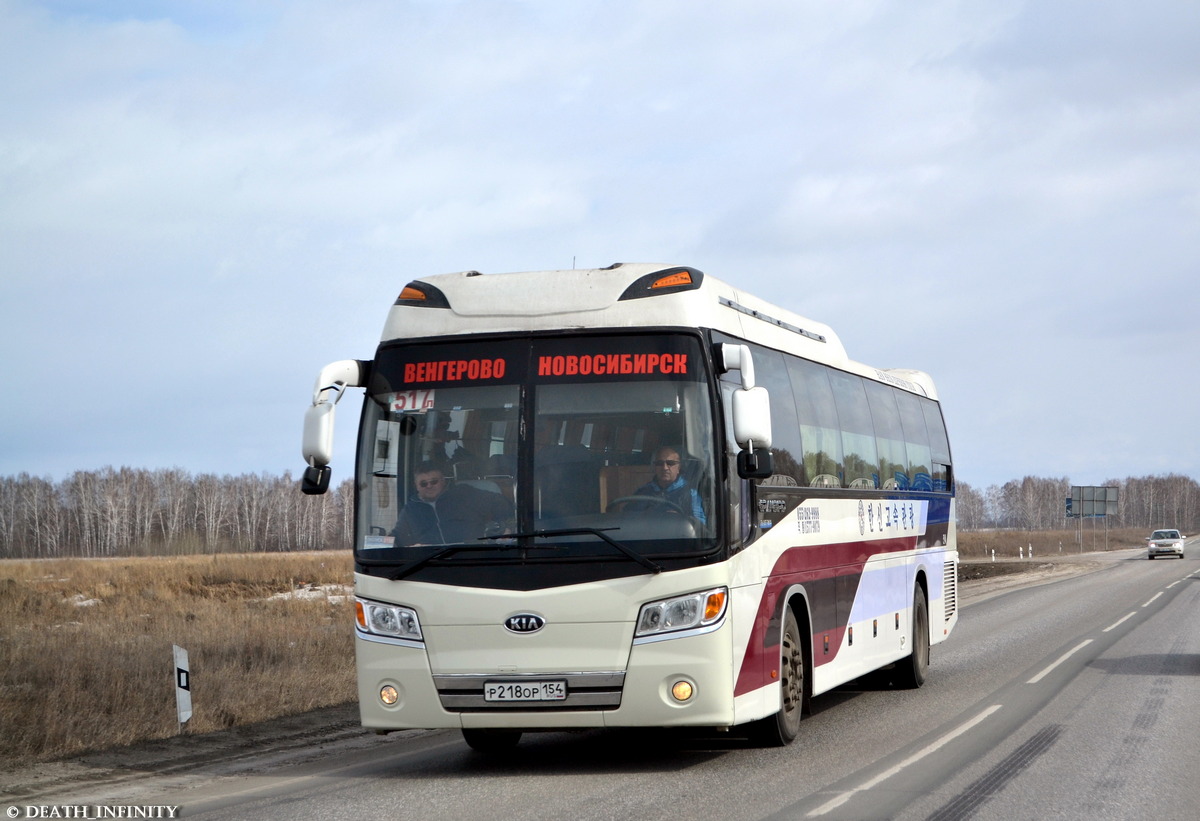 Новосибирская область, Kia KM959S Granbird Parkway № Р 218 ОР 154