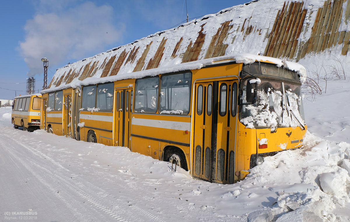 Автобусы сах