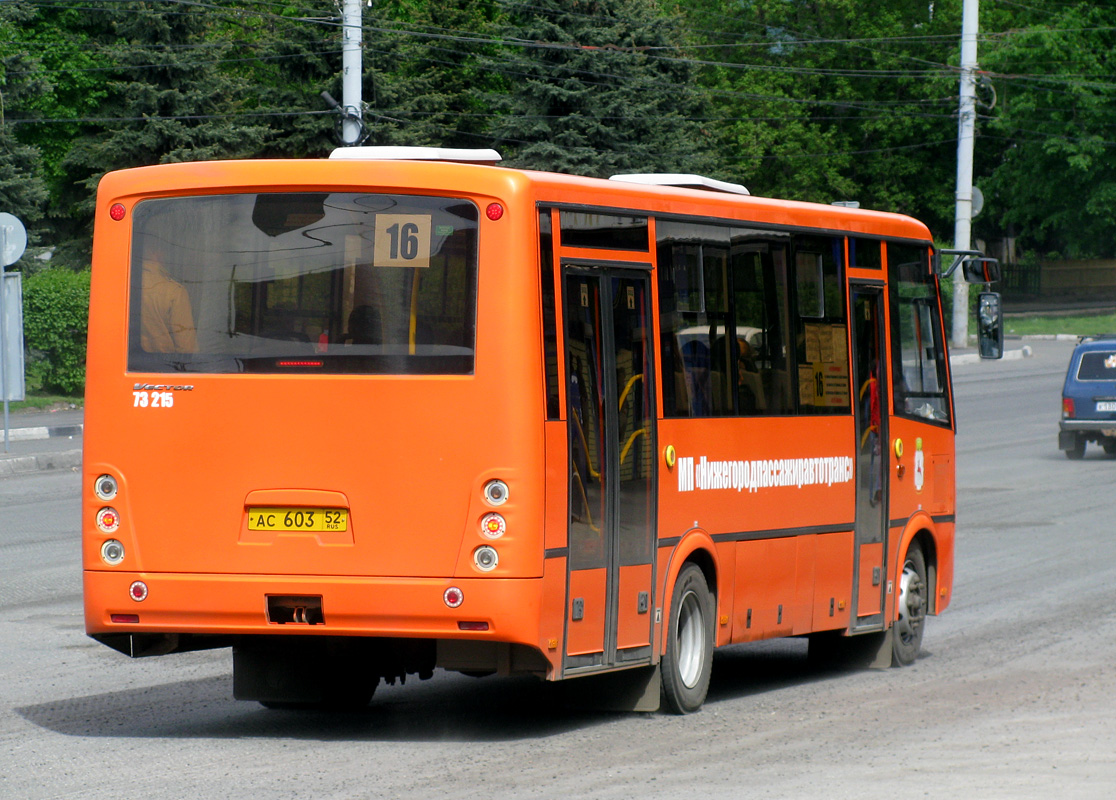 Нижегородская область, ПАЗ-320414-05 "Вектор" (1-2) № 73215