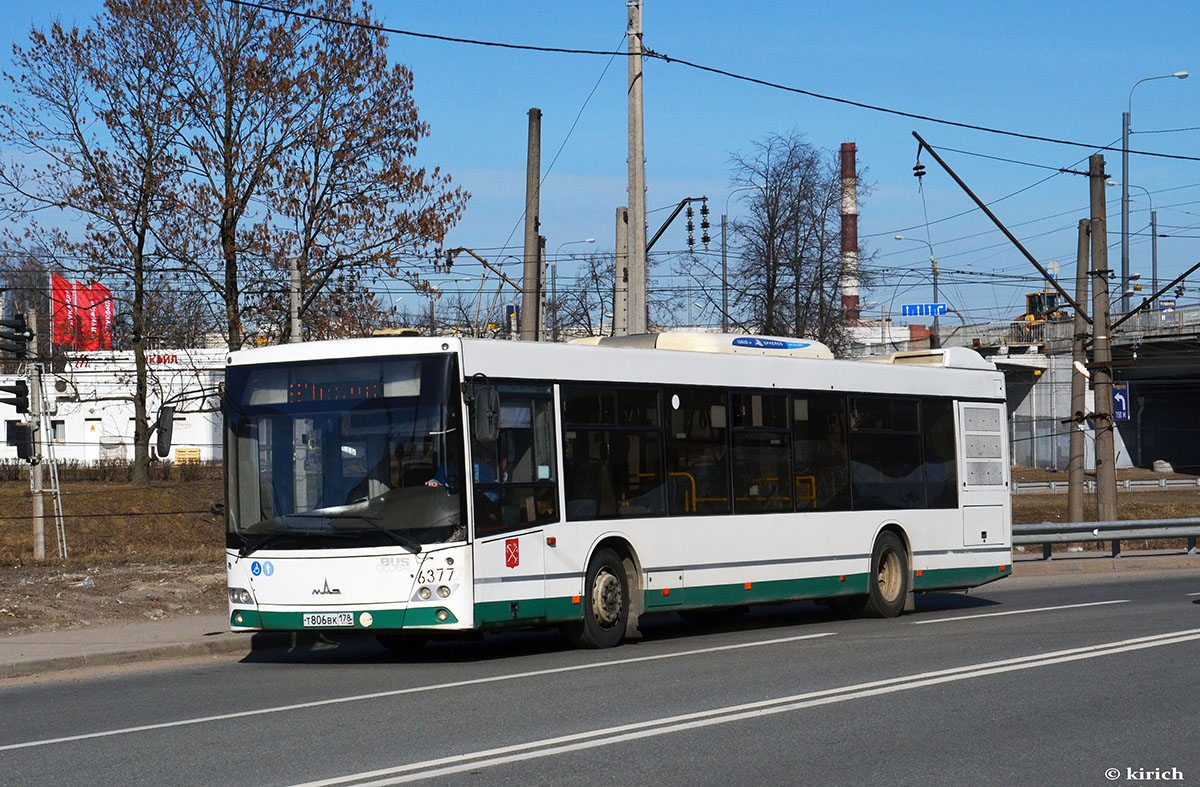 Санкт-Петербург, МАЗ-203.085 № 6377