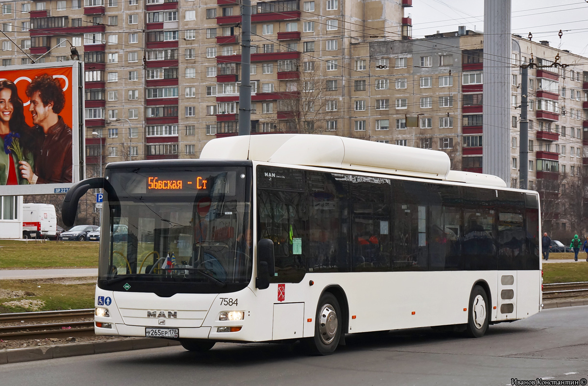 Санкт-Петербург, MAN A21 Lion's City NL313 CNG № 7584