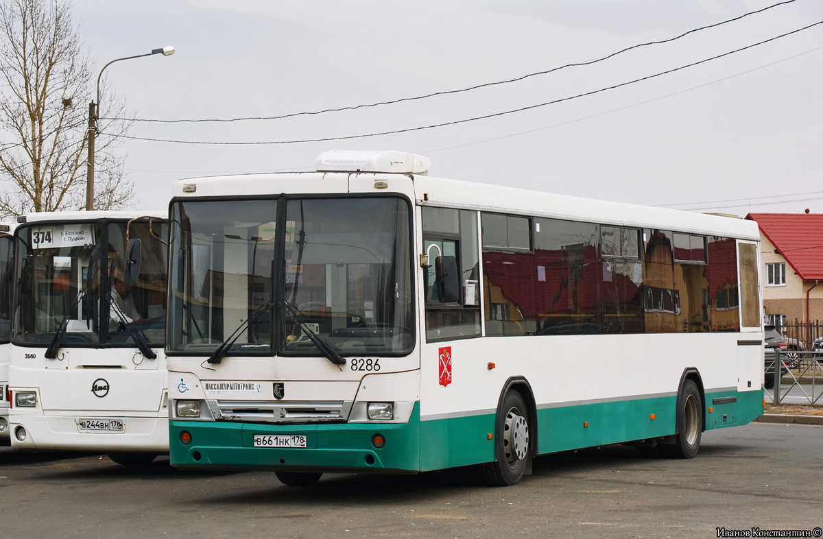 Sankt Petersburg, NefAZ-52994-40-42 Nr 8286