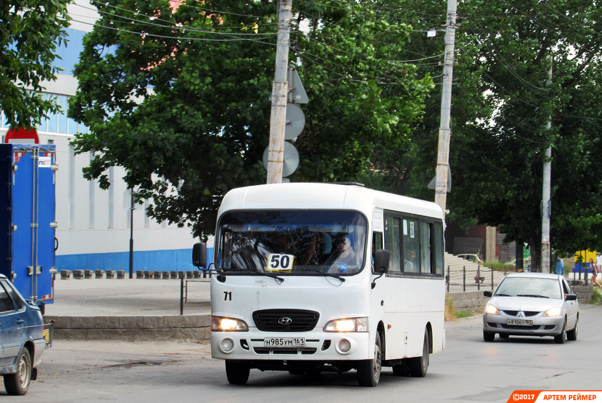 Ростовская область, Hyundai County LWB C09 (ТагАЗ) № 71