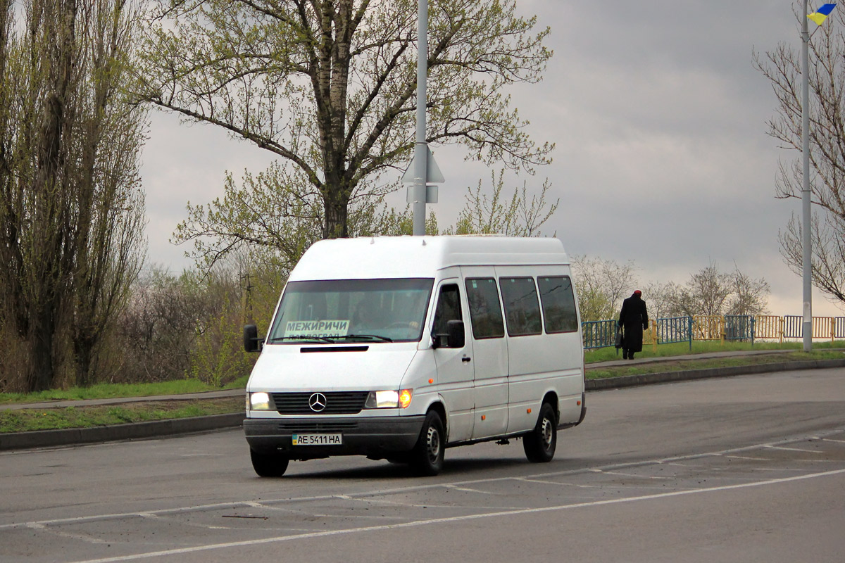 Днепропетровская область, Mercedes-Benz Sprinter W903 312D № 4545