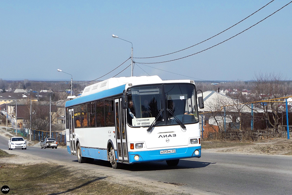 Белгородская область, ЛиАЗ-5256.57-01 № Н 313 МС 31