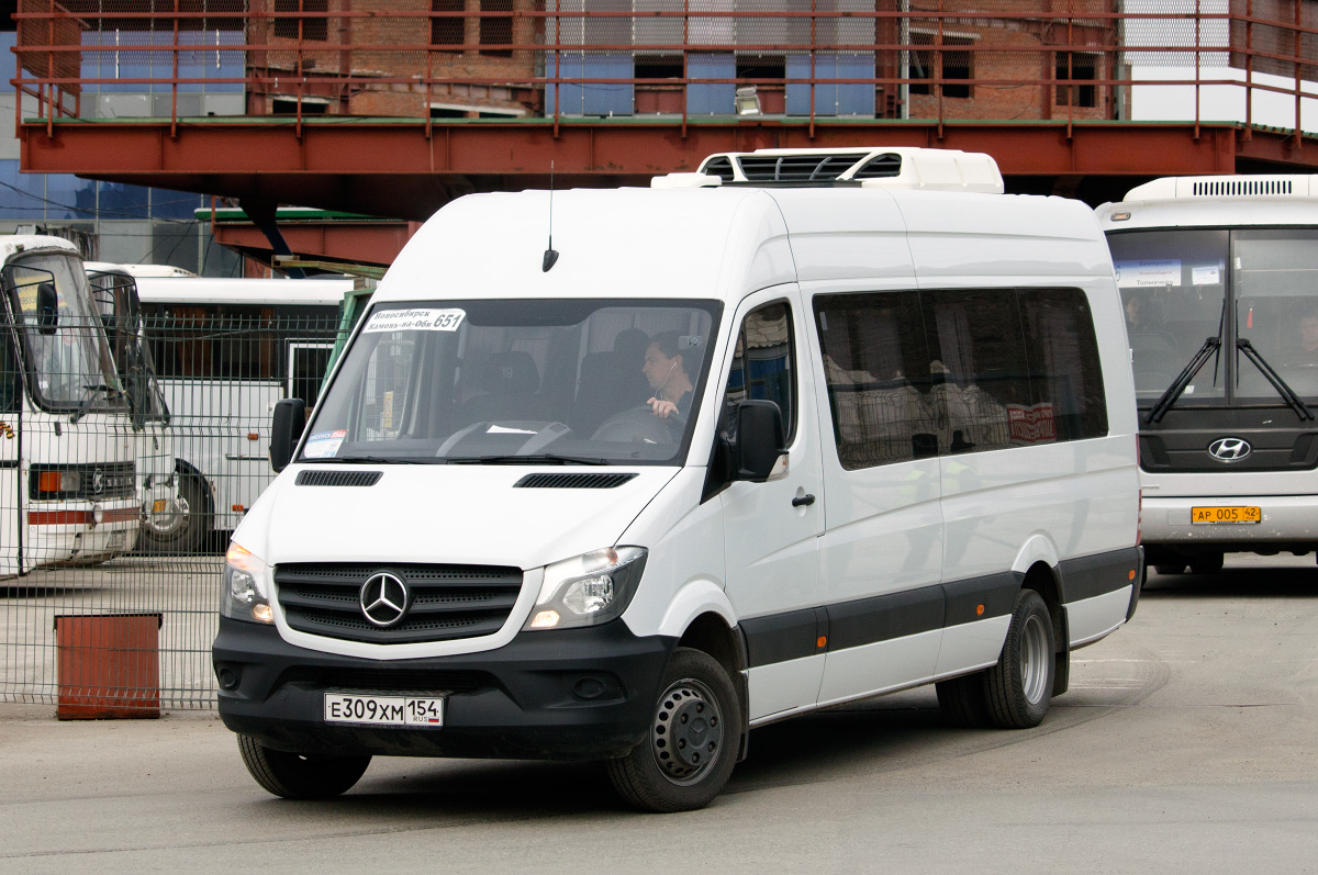 Новосибирская область, Луидор-223602 (MB Sprinter) № Е 309 ХМ 154