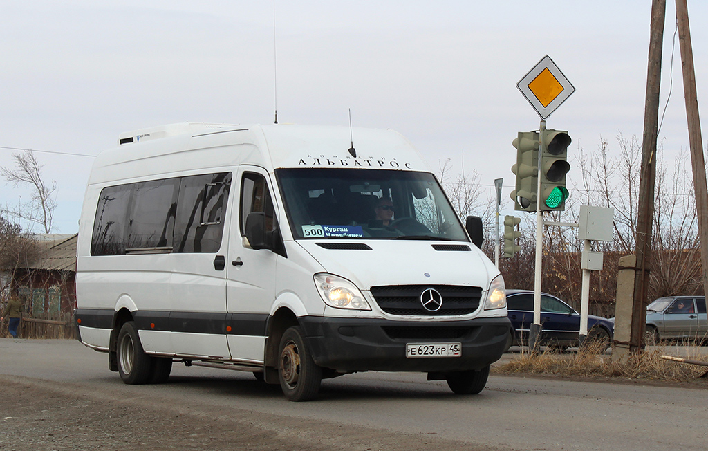 Курганская область, Луидор-223602 (MB Sprinter) № Е 623 КР 45