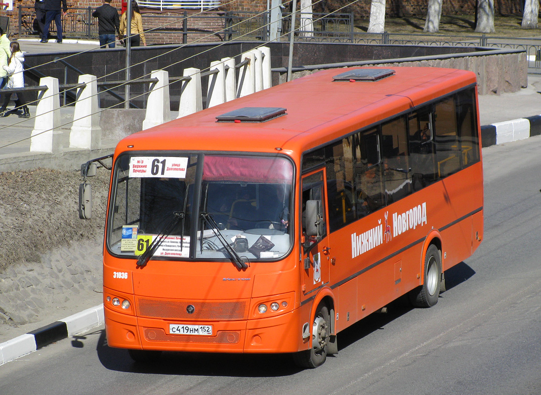 Нижегородская область, ПАЗ-320414-04 "Вектор" № 31036