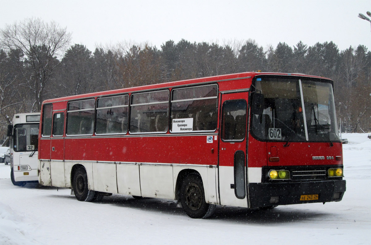 Красноярский край, Ikarus 256.74 № АЕ 243 24