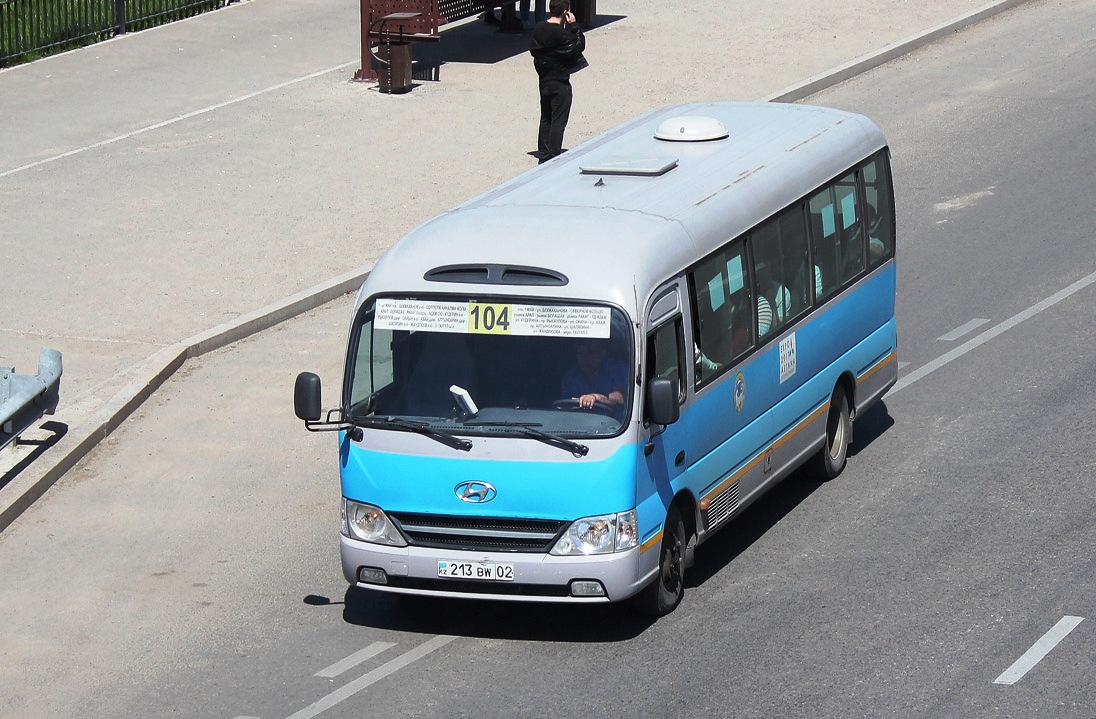 Алматы, Hyundai County (Hyundai Trans Auto) № 213 BW 02