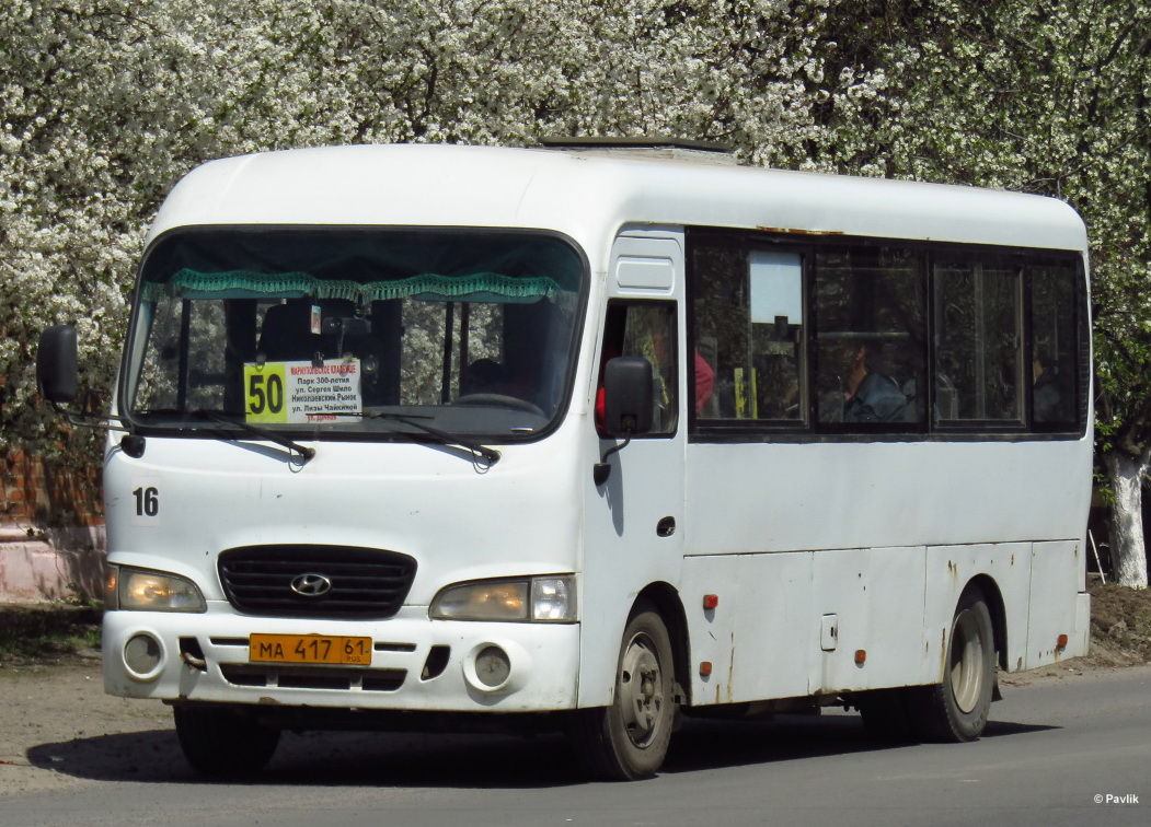 Ростовская область, Hyundai County LWB C09 (ТагАЗ) № 16