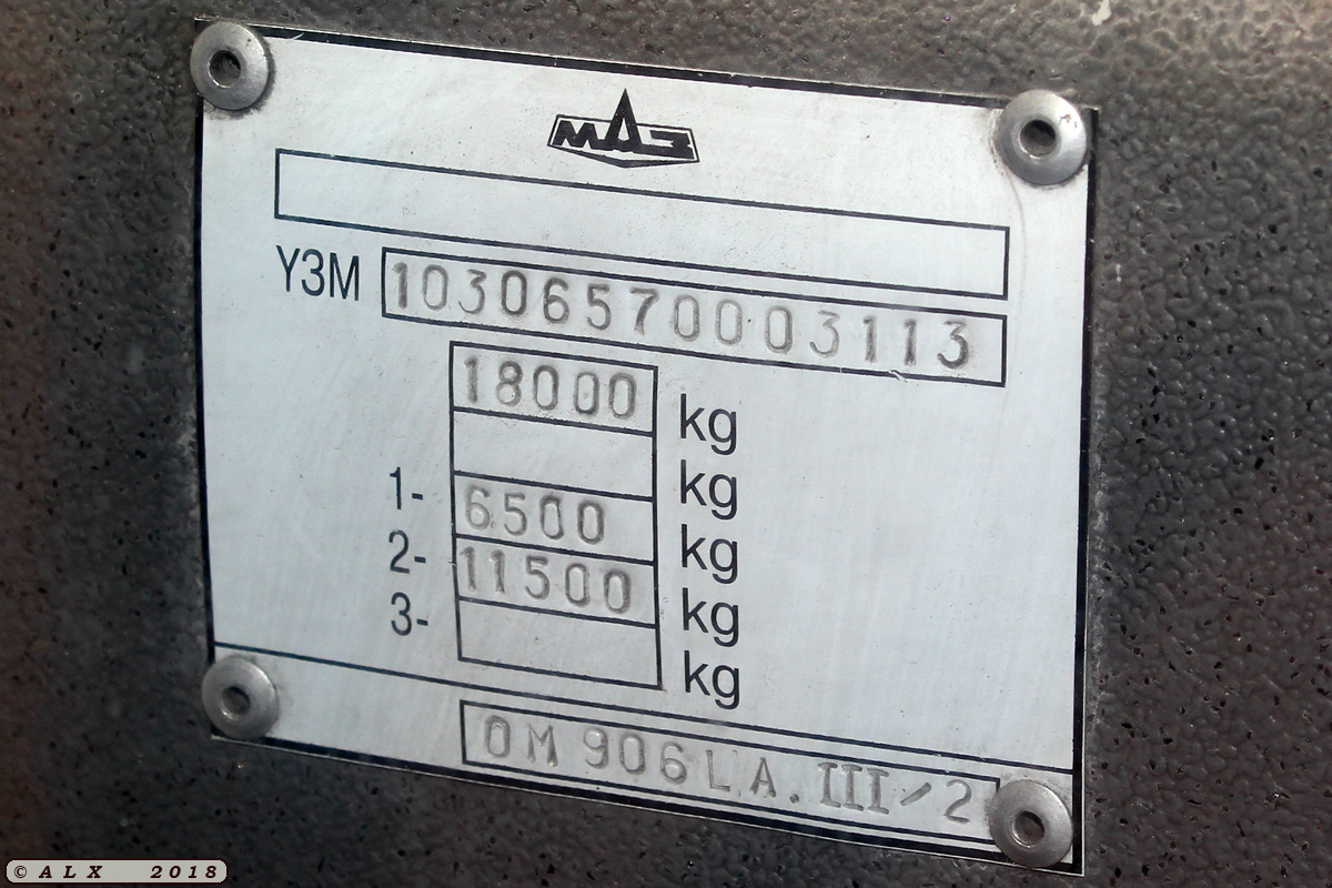 Воронежская область, МАЗ-103.065 № ВС 222 77