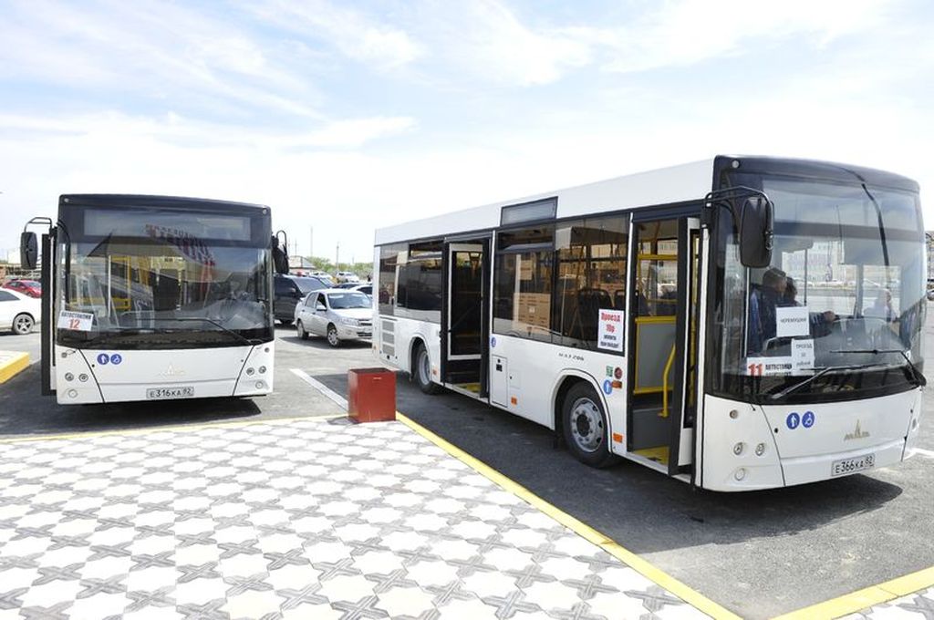 Dagestan, MAZ-206.063 č. Е 316 КА 82; Dagestan, MAZ-206.063 č. Е 366 КА 82; Dagestan — New Buses