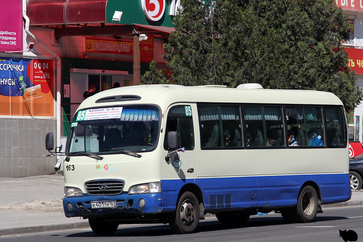 Ростовская область, Hyundai County Deluxe № 163