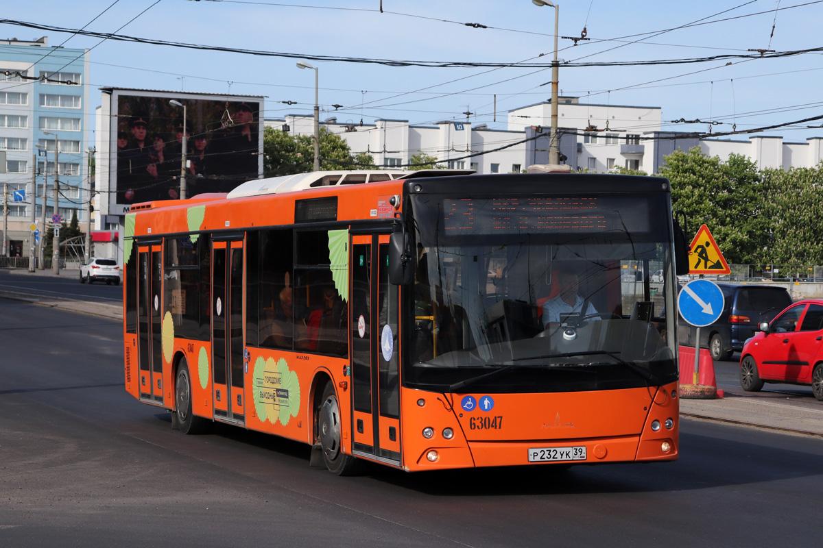 Калининградская область, МАЗ-203.085 № 63047