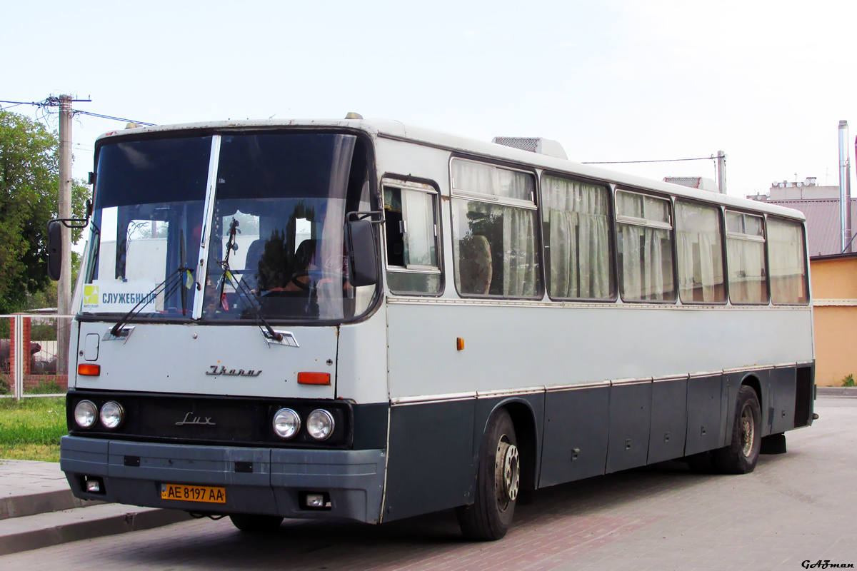 Днепропетровская область, Ikarus 250.59 № AE 8197 AA