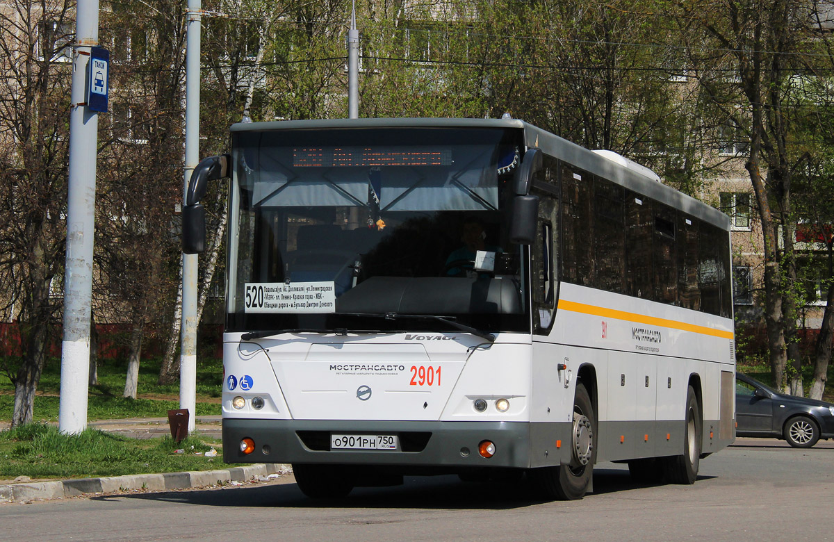 Московская область, ЛиАЗ-5250 № 2901