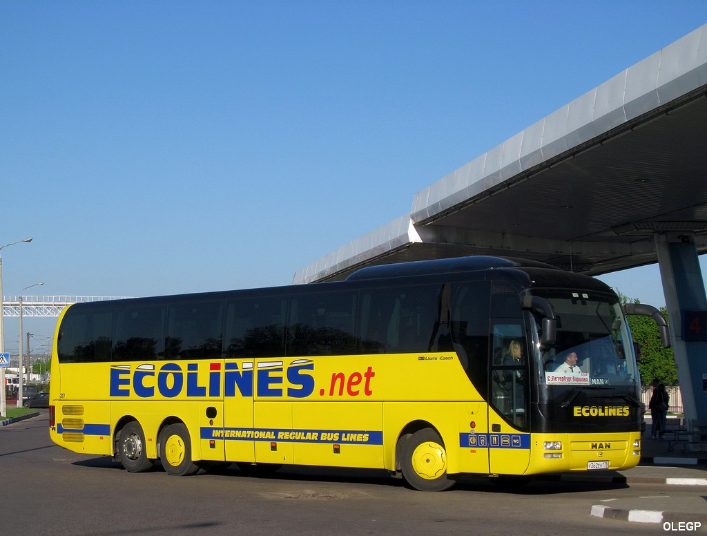 Санкт-Петербург, MAN R08 Lion's Coach L RHC444 L № 317