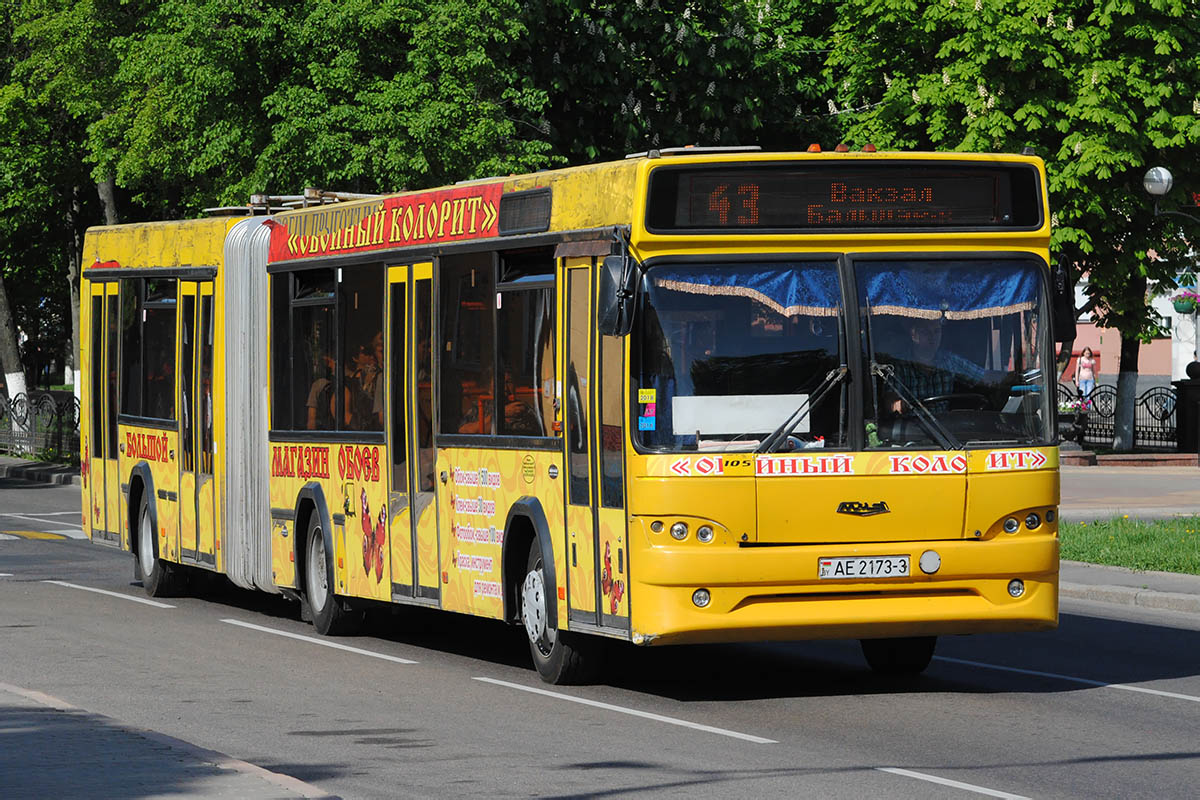 Пригородные автобусы жлобин. МАЗ 105.465 омси 2. 16 Автобус Жлобин. Москва-Жлобин автобус.