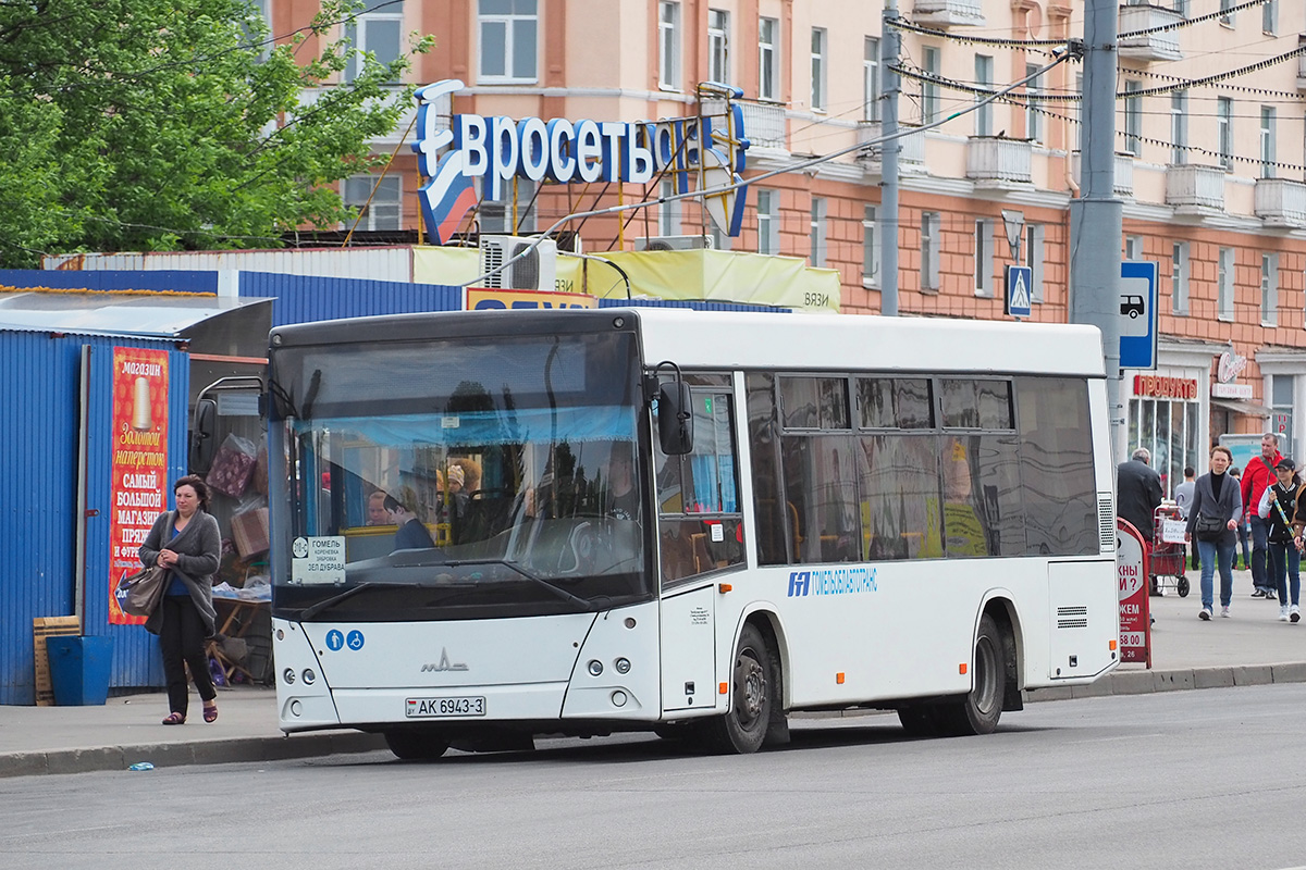 Гомельская область, МАЗ-206.063 № 036994