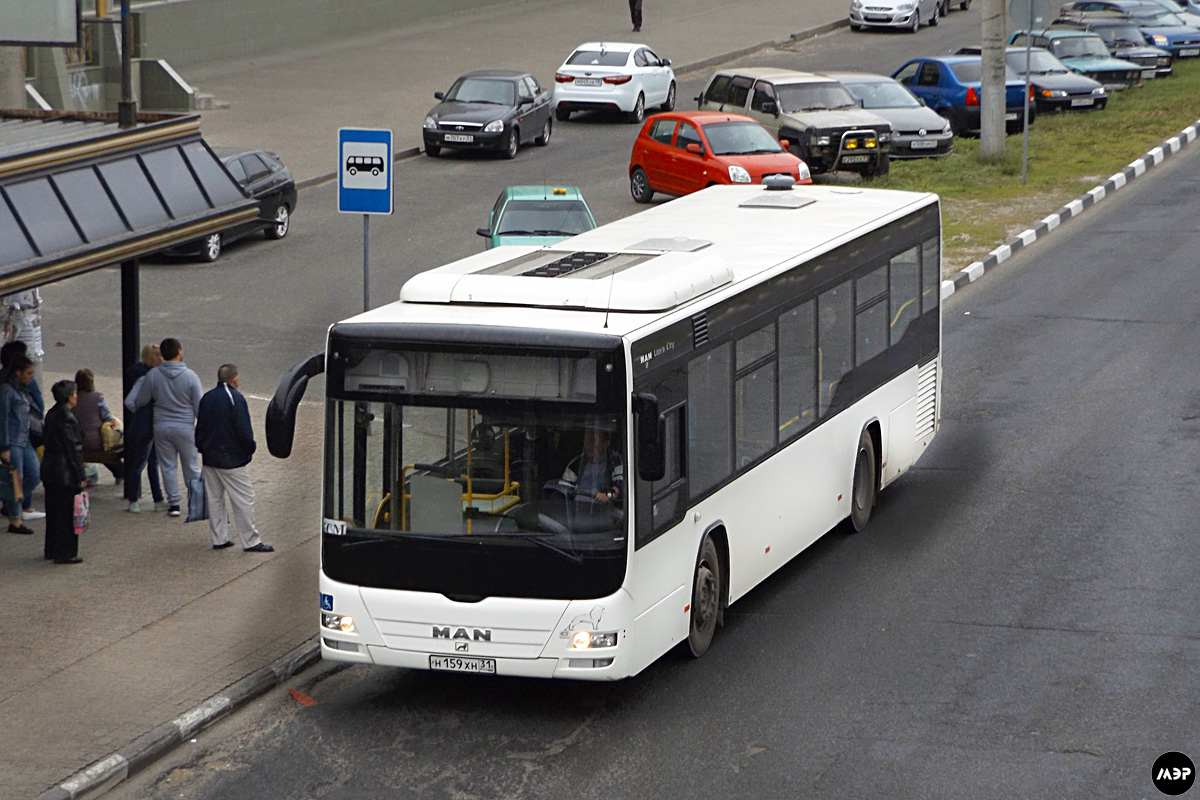 Белгородская область, MAN A78 Lion's City LE EL283 № Н 159 ХН 31