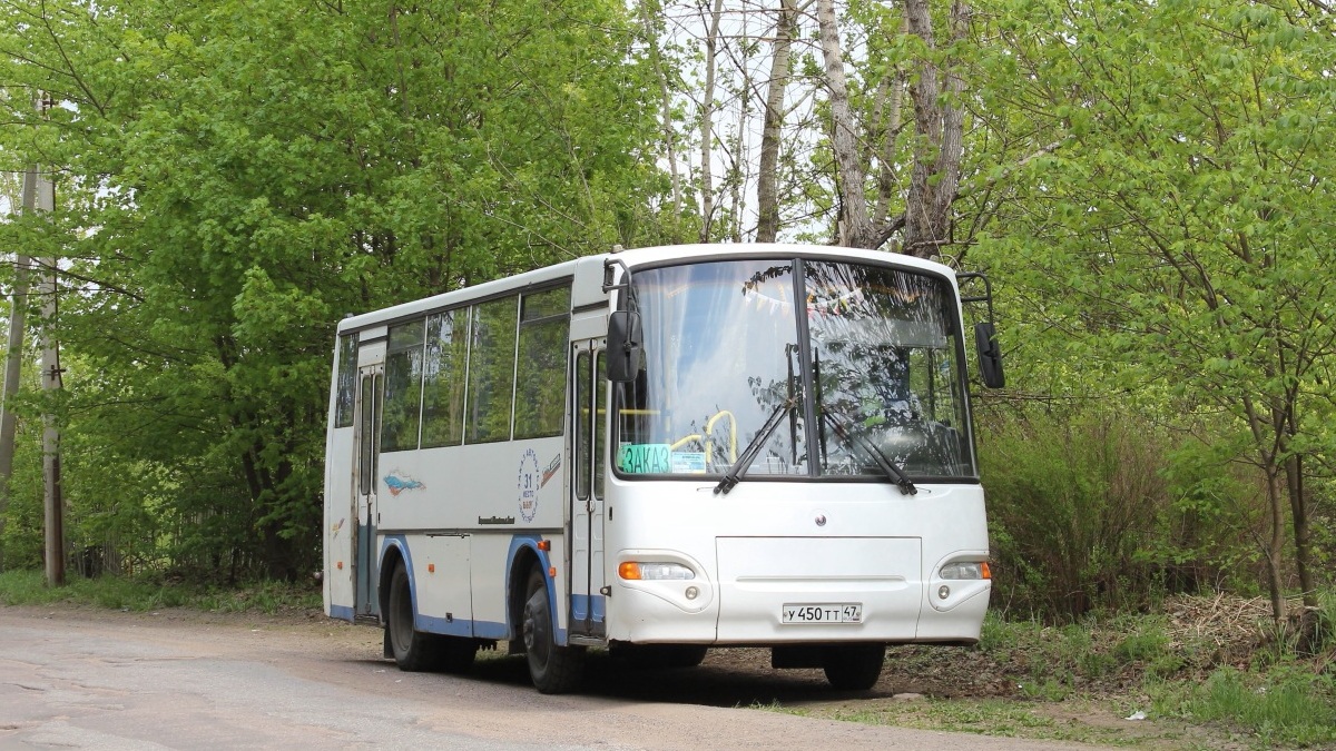 Ленинградская область, ПАЗ-4230-01 (1-1) (КАвЗ) № У 450 ТТ 47