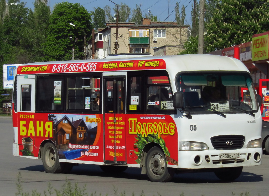 Ростовская область, Hyundai County LWB C09 (ТагАЗ) № 55