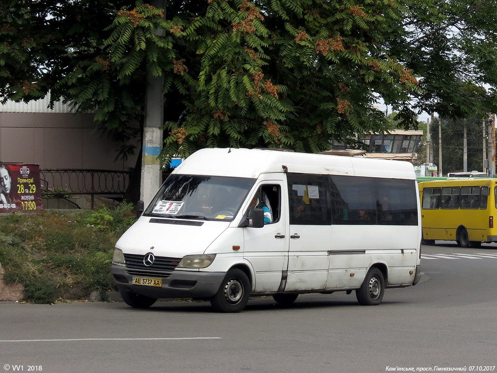 Днепропетровская область, Mercedes-Benz Sprinter W903 311CDI № AE 3737 AA