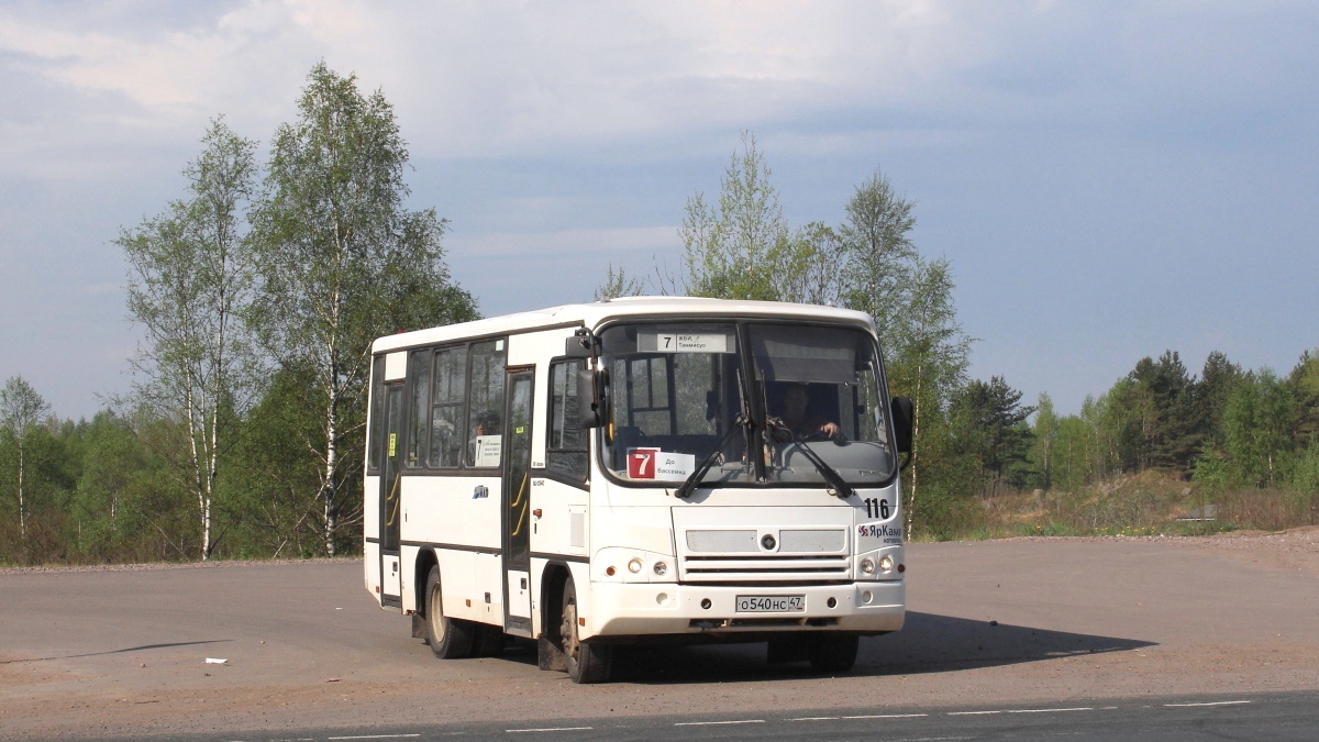 Ленинградская область, ПАЗ-320402-05 № 116