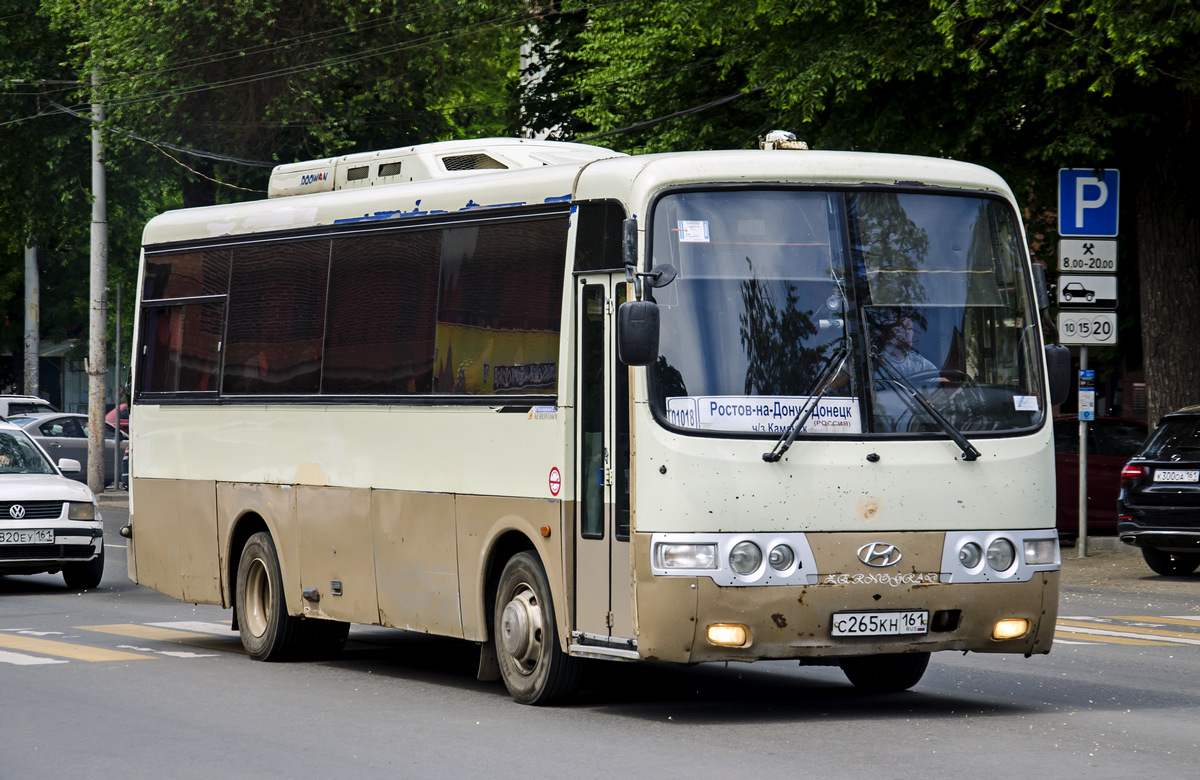 Ростовская область, Hyundai AeroTown № С 265 КН 161 — Фото — Автобусный  транспорт