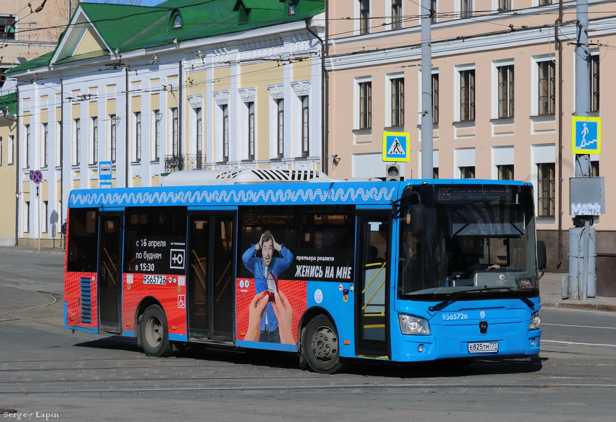 автобус москва пермь