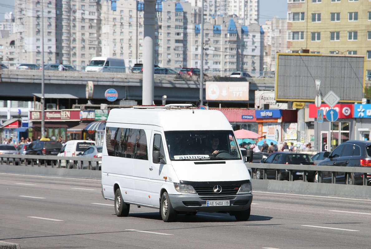 Днепропетровская область, Mercedes-Benz Sprinter W903 313CDI № AE 5408 IB