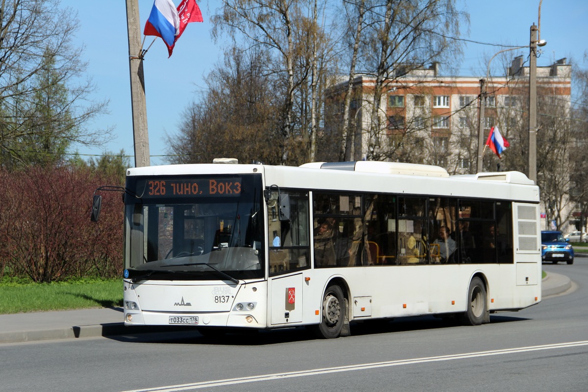 Санкт-Петербург, МАЗ-203.085 № 8137