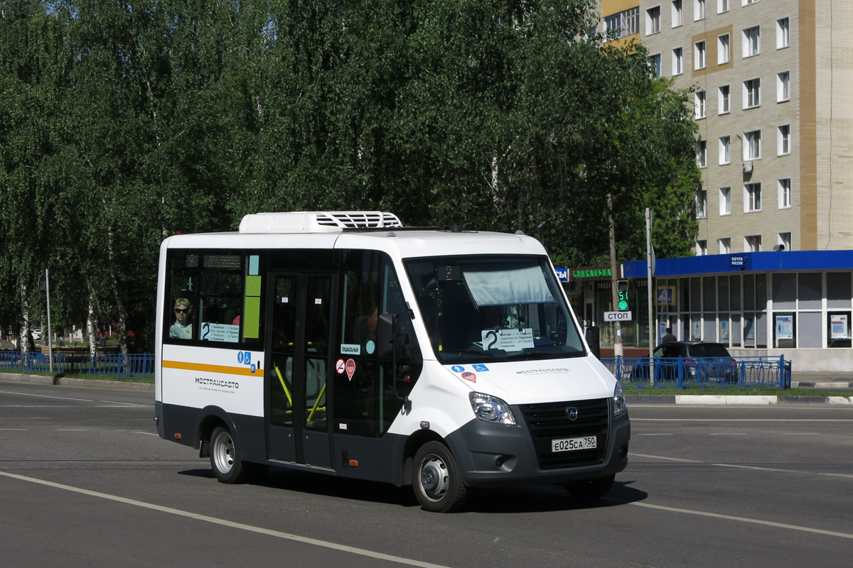 Московская область, Луидор-2250DS (ГАЗ Next) № 3199