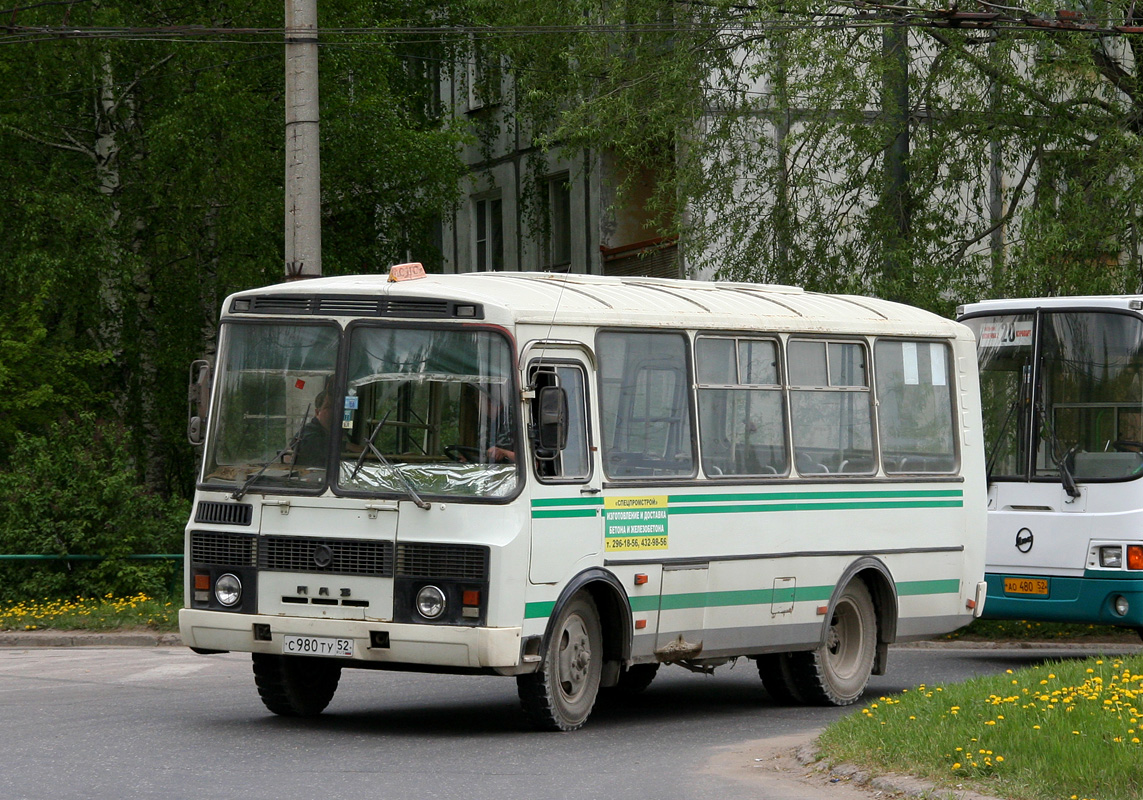 Нижегородская область, ПАЗ-3205-110 № С 980 ТУ 52