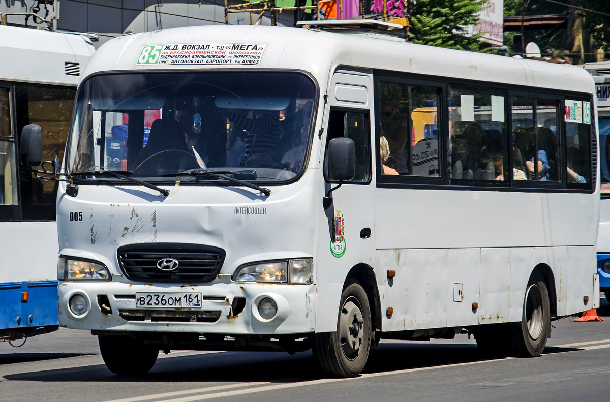 Ростовская область, Hyundai County LWB C11 (ТагАЗ) № 005