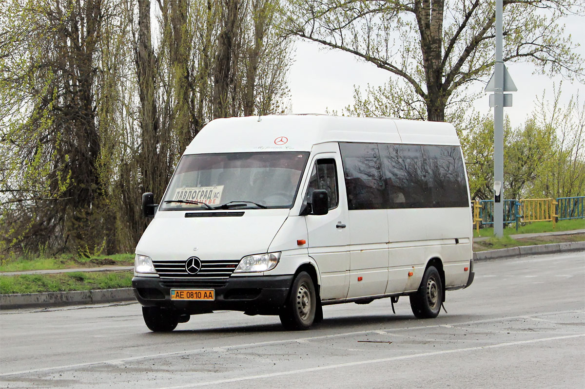 Днепропетровская область, Mercedes-Benz Sprinter W903 313CDI № AE 0810 AA