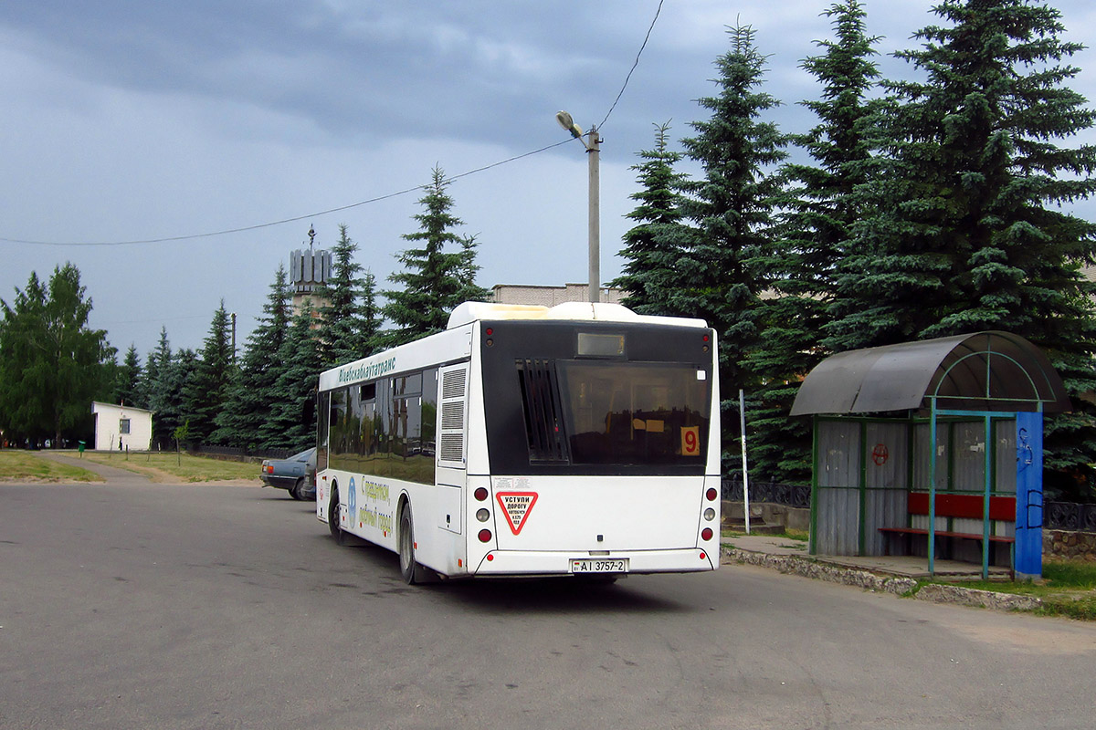 Витебская область, МАЗ-203.065 № 30960