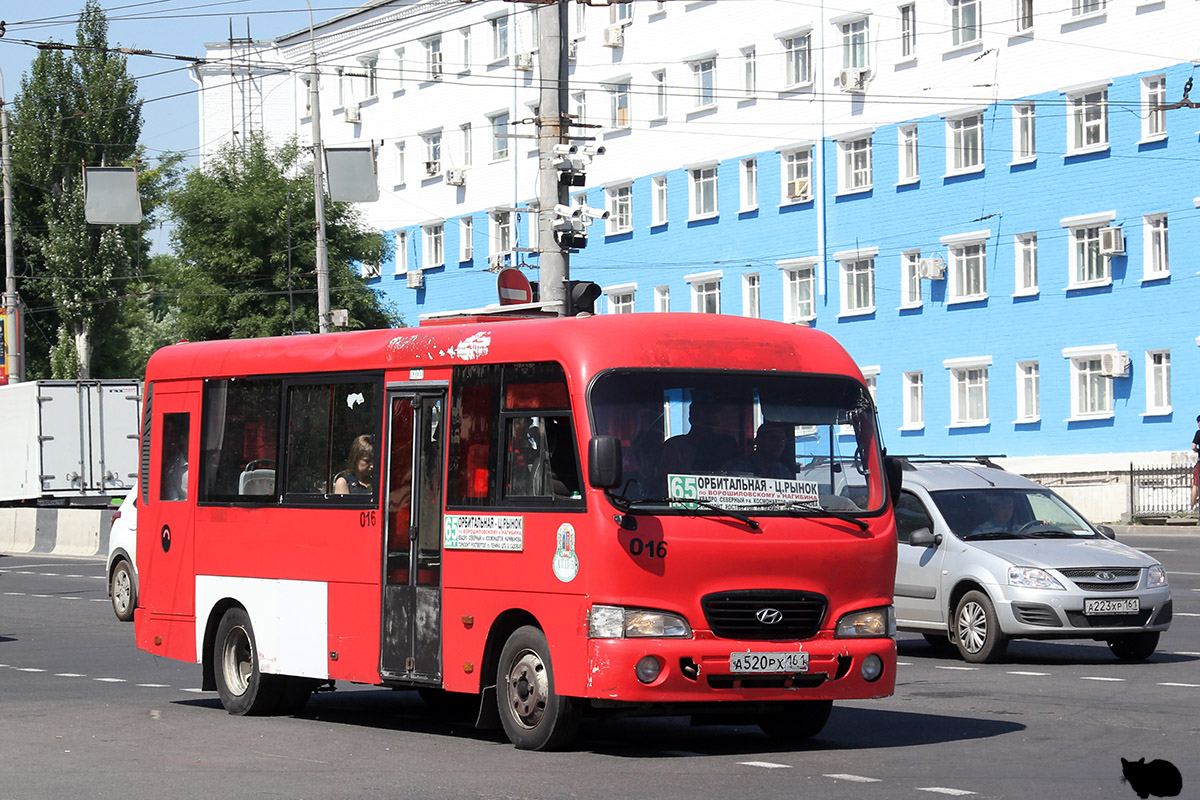 Ростовская область, Hyundai County LWB C09 (ТагАЗ) № 016