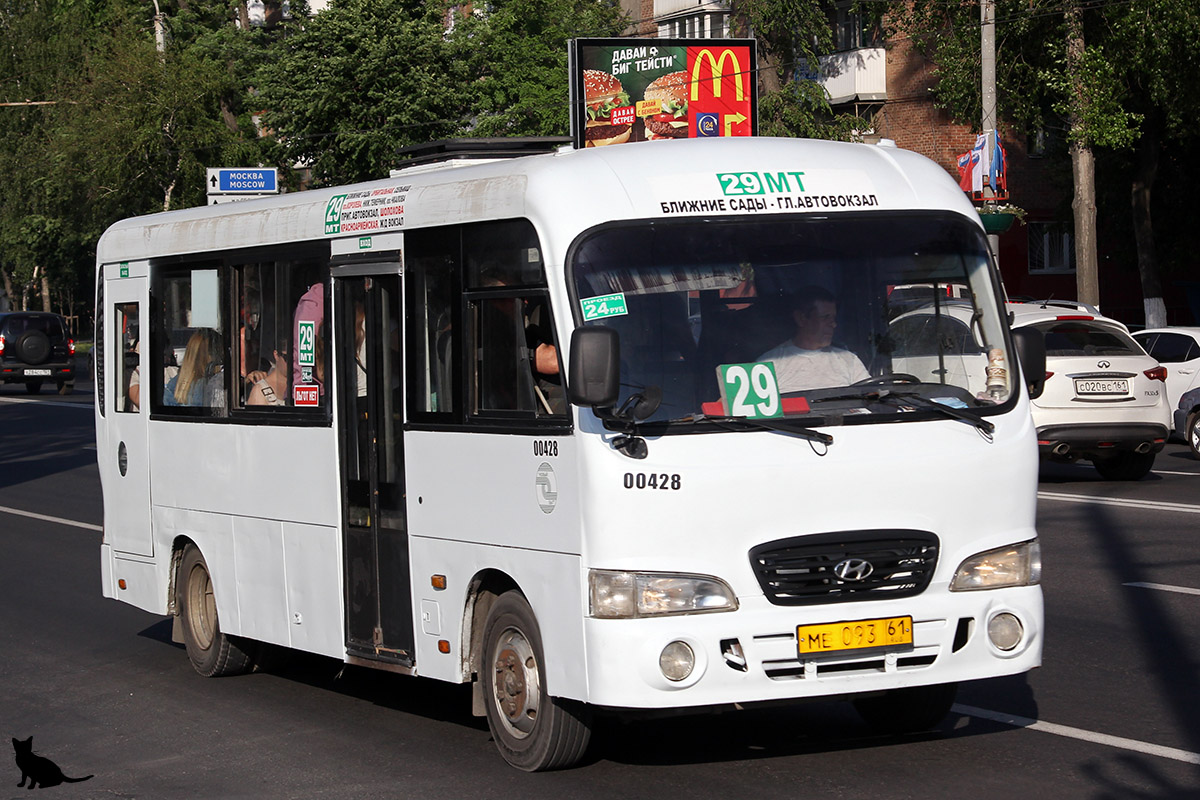 Ростовская область, Hyundai County LWB C09 (ТагАЗ) № 00428